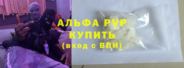 шишки Ладушкин