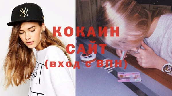 шишки Ладушкин