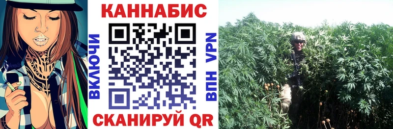 Конопля VHQ  Мамадыш 